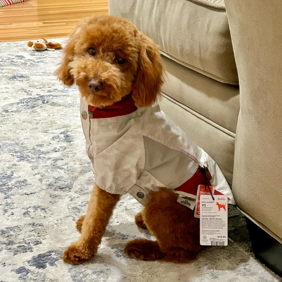 Reddy XS Weathershell - Picture 8 of 12